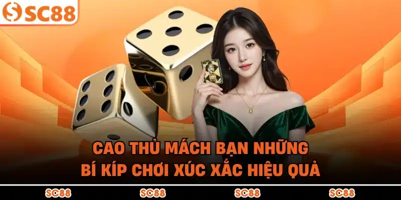 Cao thủ mách bạn những bí kíp chơi xúc xắc hiệu quả